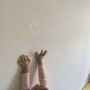 영어로 배우는 뮤지컬세상(1반) | 청라유아영어센터 스트레스없이 신나게즐기는 영어 배우기