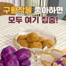 직화오븐으로 2번 구워 더 맛있는 감자빵, 군고구마빵 이미지