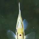 동글동글 이미지