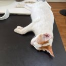 운동노리(NORI) | [일상] 맛있게 먹고 잘 논 두 주