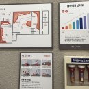 클린이둘의 종로 피커스 클라이밍 후기 탑아웃 벽 체험 피커스 종로 가격 위치