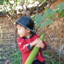 시골마루 이미지