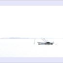 바다그리다 이미지