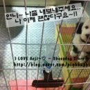 애지약국 네이버블로그