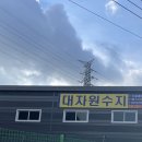 대자원