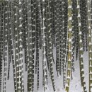 하모니청과 이미지