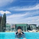 예홍여행 네이버블로그