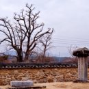 영주이야기 이미지