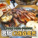 다래와흑돈 이미지