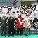디자인월드 이미지