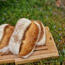 까치꽃 반찬 이미지