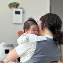 미래로어린이집 | [강북/성북/도봉구] 아이미래로 성북구 산후관리사님 후기 (애개육아/경산모)