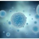 주식회사 에이아이정보기술 이미지