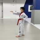 국가대표태권도 예가 네이버블로그