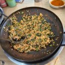 Holly Molly 이미지