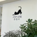 고양이호텔 윤집사 | 고양이 이사 준비 : 고양이호텔 윤집사, 펠리웨이 내돈내산 후기