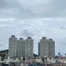수성여행사 | 투어 내돈내먹] 냠냠여행 숨은명소+야시장까지 다녀온 솔직 후기 /대련 패키지/데이투어/중국여행추천/여행