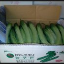 신기리농장 네이버블로그