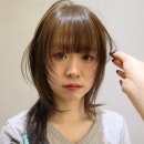 (주)삶은여행 | [순시키헤어 델리] 1월2월을 마무리하며, 여행과 삶에 대해