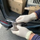 대전야생동물구조관리센터 동물병원 | 날개부러진 청까치 구하기(대전야생동물구조관리센터)