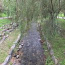 호매실천 이미지