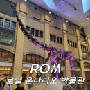 토론토 &#39;로열 온타리오 박물관(ROM)&#39; 관람 후기(주차, 식사 정보 포함)