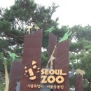 영광타조농장 | 2016년 9월 서울 방문-3 서울동물원
