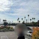 월드타이거즈 | [LA여행] 삼성 팬의 다저스 스타디움 투어 후기: 2025 월드 시리즈 우승 기념 티셔츠 굿즈 구매