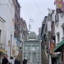 오더프플라워
