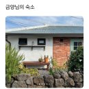 루디아의 작은집 이미지