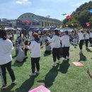 에코파랑새어린이집 이미지