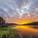 두물머리 이미지