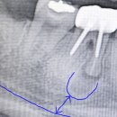 서울연세감성치과의원 이미지