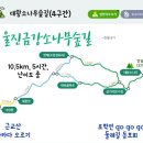 6월25일산행지변경합니다 안일왕산&amp;금강송숲길(경북/울진)갑니다 이미지