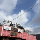 펑키 | 진천 카페 펑키 후기｜라이더카페로 유명한 백곡저수지 뷰 카페