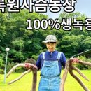 궁금한 키, 궁금한 사춘기 이미지