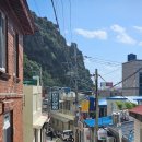 보배식당 | 울릉도 별미 추천 원조 홍합밥맛집 보배식당 가봤는데