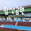 황산카정비