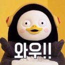 릴리테라피 이미지