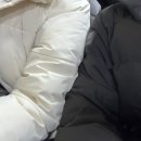 2024 잘 가 🍀