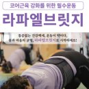 언남문화체육센터 | [공지] 서초구의 명소, 언남문화체육센터 회원들의 인심 어떨까? 라파엘브릿지153 운동으로 알게되어..