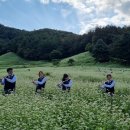 도심속의 작은 음악회 이미지