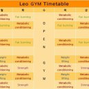 크로스핏 레오 이미지