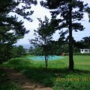 수산리공중화장실 Daum카페