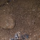 자원 오리성 이미지