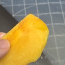 경기도 수원시 장안구 장안로89번길 이미지