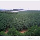 황토골농장 이미지