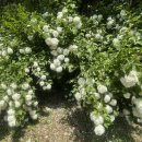 진양호 쉼터 네이버블로그