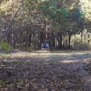 망객정(신평) 이미지