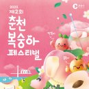 춘천농협 경제사업소 | [춘천] 지역축제 &#39;복숭아 축제&#39; 방문후기